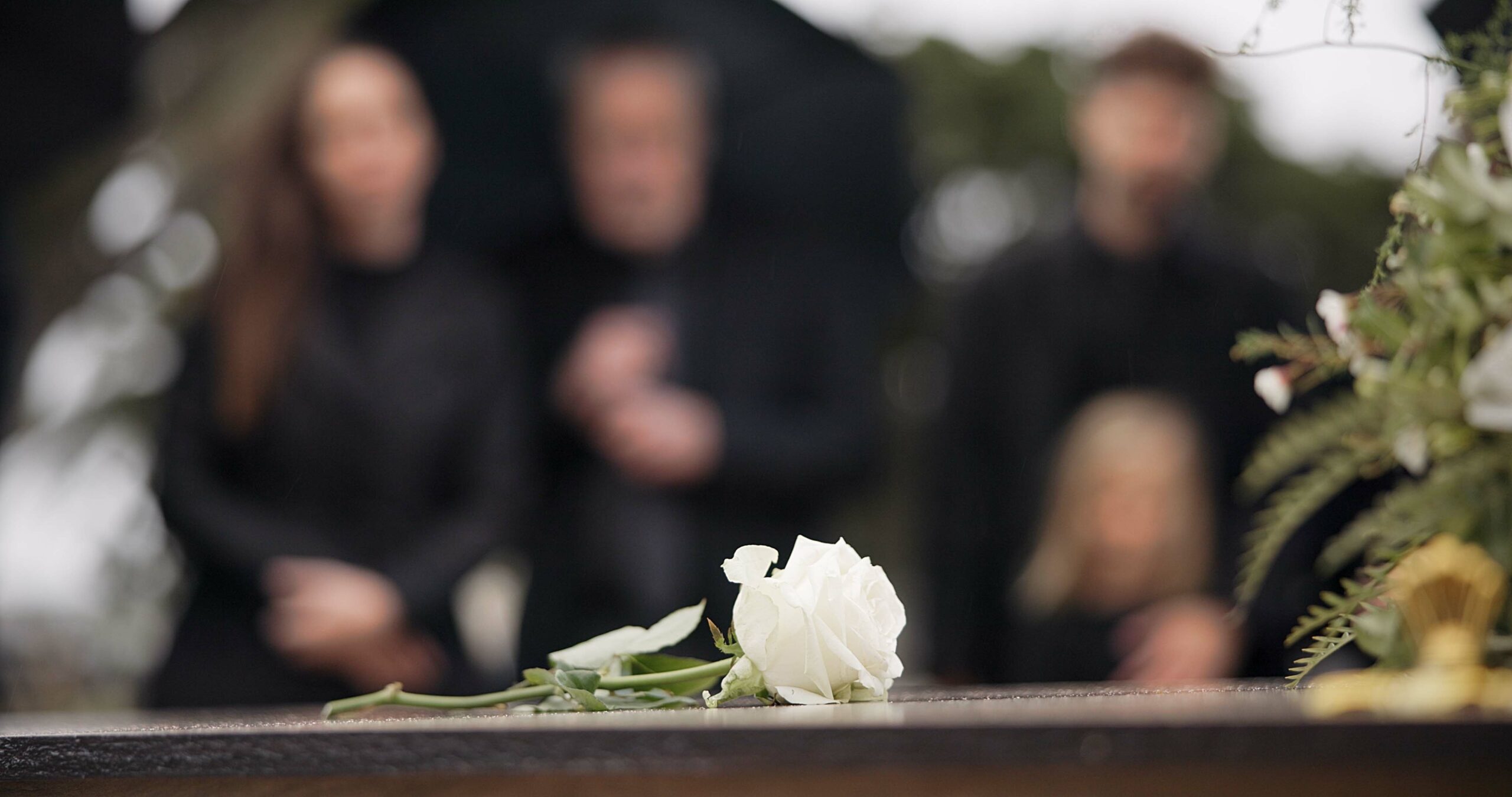 A white rose rests on a casket at a funeral